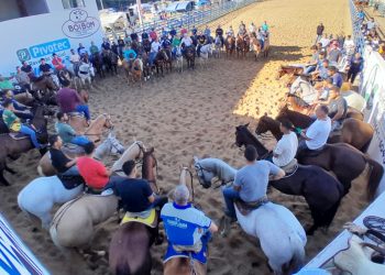 Vaquejada de Pinheiros está de volta e resgata tradição e emoção