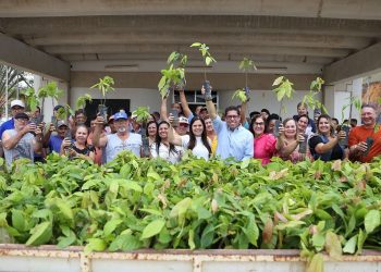 Arranjos Produtivos entrega mais de 1,5 milhão de mudas a produtores
