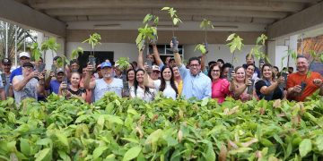 Arranjos Produtivos entrega mais de 1,5 milhão de mudas a produtores