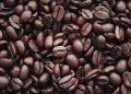 Produção de café deve ter alta de 18% e bater recorde na safra 2026
