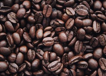 Produção de café deve ter alta de 18% e bater recorde na safra 2026