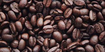 Produção de café deve ter alta de 18% e bater recorde na safra 2026