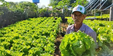 Arranjos Produtivos insere produtores rurais no mercado de crédito de carbono