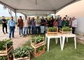 Arranjos Produtivos entrega 10 mil mudas de café em Alfredo Chaves
