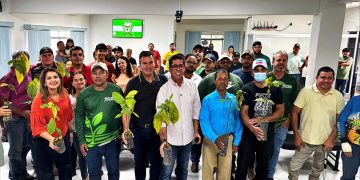 Arranjos Produtivos entrega 6,2 mil mudas de cacau em Alto Rio Novo