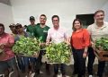 Arranjos Produtivos entrega mudas de banana e pimenta no Norte do ES