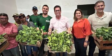 Arranjos Produtivos entrega mudas de banana e pimenta no Norte do ES