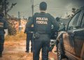 PF atua contra crime de moeda falsa em Nova Venécia