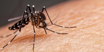 Prefeitura de Vila Pavão alerta para prevenção da dengue e reforça cuidados no município