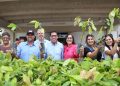 Projeto Arranjos Produtivos entrega mais de 2,5 milhões de mudas em 2 anos