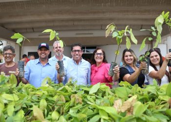 Projeto Arranjos Produtivos entrega mais de 2,5 milhões de mudas em 2 anos