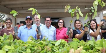 Projeto Arranjos Produtivos entrega mais de 2,5 milhões de mudas em 2 anos