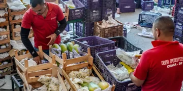 Governo anuncia crédito de R$ 97,3 bi para agricultores familiares