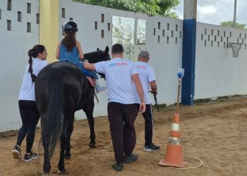 Terapia com cavalos da Polícia Militar transforma vidas