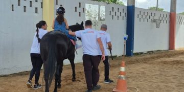 Terapia com cavalos da Polícia Militar transforma vidas