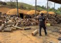 Polícia flagra carvoaria irregular durante operação e conduz responsável à delegacia no Espírito Santo