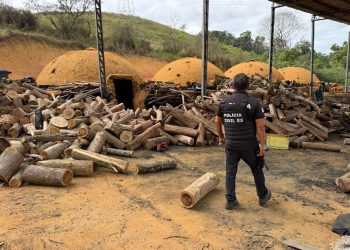 Polícia flagra carvoaria irregular durante operação e conduz responsável à delegacia no Espírito Santo