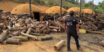 Polícia flagra carvoaria irregular durante operação e conduz responsável à delegacia no Espírito Santo