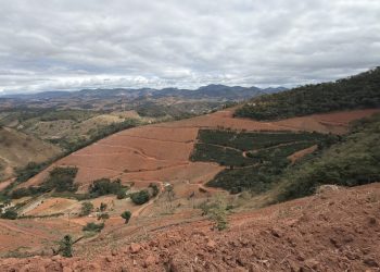 Operação contra o desmatamento ilegal resulta em R$ 656 mil em multas no Espírito Santo