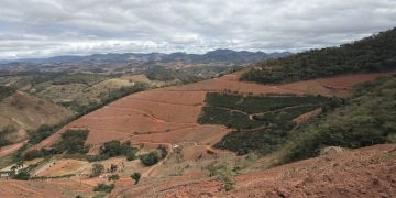 Operação contra o desmatamento ilegal resulta em R$ 656 mil em multas no Espírito Santo