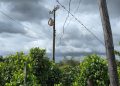 Polícia e EDP identificam ligação clandestina de energia usada para irrigar lavoura em São Mateus