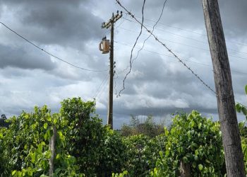 Polícia e EDP identificam ligação clandestina de energia usada para irrigar lavoura em São Mateus