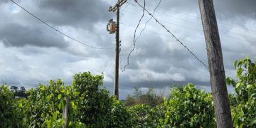 Polícia e EDP identificam ligação clandestina de energia usada para irrigar lavoura em São Mateus