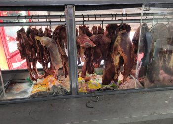 Polícia realiza operação contra furto e comércio clandestino de carne no Sul do Espírito Santo