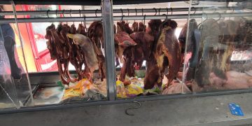 Polícia realiza operação contra furto e comércio clandestino de carne no Sul do Espírito Santo