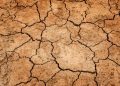 6º Boletim do CICC El Niño indica que fenômeno climático está plenamente estabelecido