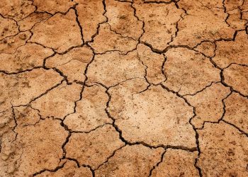 6º Boletim do CICC El Niño indica que fenômeno climático está plenamente estabelecido