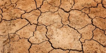 6º Boletim do CICC El Niño indica que fenômeno climático está plenamente estabelecido