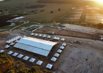 Pinheiros AgroShow 2026 amplia programação com debates sobre inovação, gestão e tecnologia no campo
