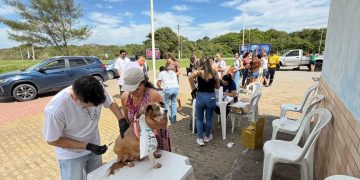 Itapemirim promove vacinação V8 para cães e reforça cuidados com a saúde animal