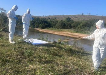 Boa Esperança reforça vigilância contra a febre maculosa com coleta de carrapatos