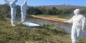 Boa Esperança reforça vigilância contra a febre maculosa com coleta de carrapatos