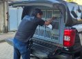 Homem é preso por furto mediante fraude eletrônica contra idoso em Barra de São Francisco