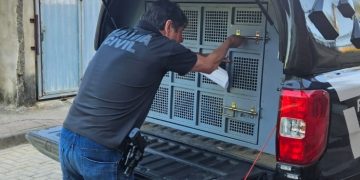 Homem é preso por furto mediante fraude eletrônica contra idoso em Barra de São Francisco