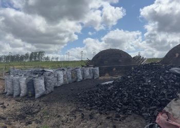 Polícia apreende mais de 2 toneladas de carvão vegetal em Conceição da Barra
