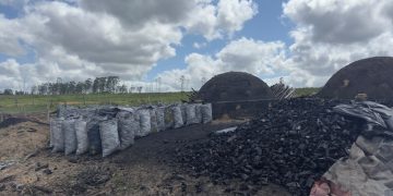 Polícia apreende mais de 2 toneladas de carvão vegetal em Conceição da Barra