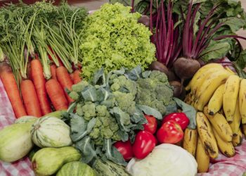 Compra Direta de Alimentos fortalece agricultura familiar e amplia acesso a alimentos em Boa Esperança