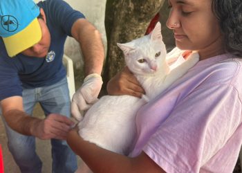 Prefeitura implementa ação permanente de bem-estar animal em Marataízes