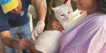 Prefeitura implementa ação permanente de bem-estar animal em Marataízes