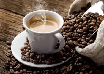 Ibatiba reúne produtores rurais em palestra sobre cafeicultura com especialista do Incaper